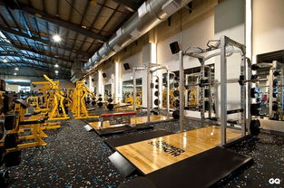 本土健身会馆品牌健身工厂正式挥旗进军中台湾健身市场，引领健身休闲新风潮