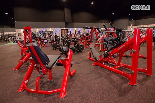 健身工厂 多店模式下的场地设施经营之道